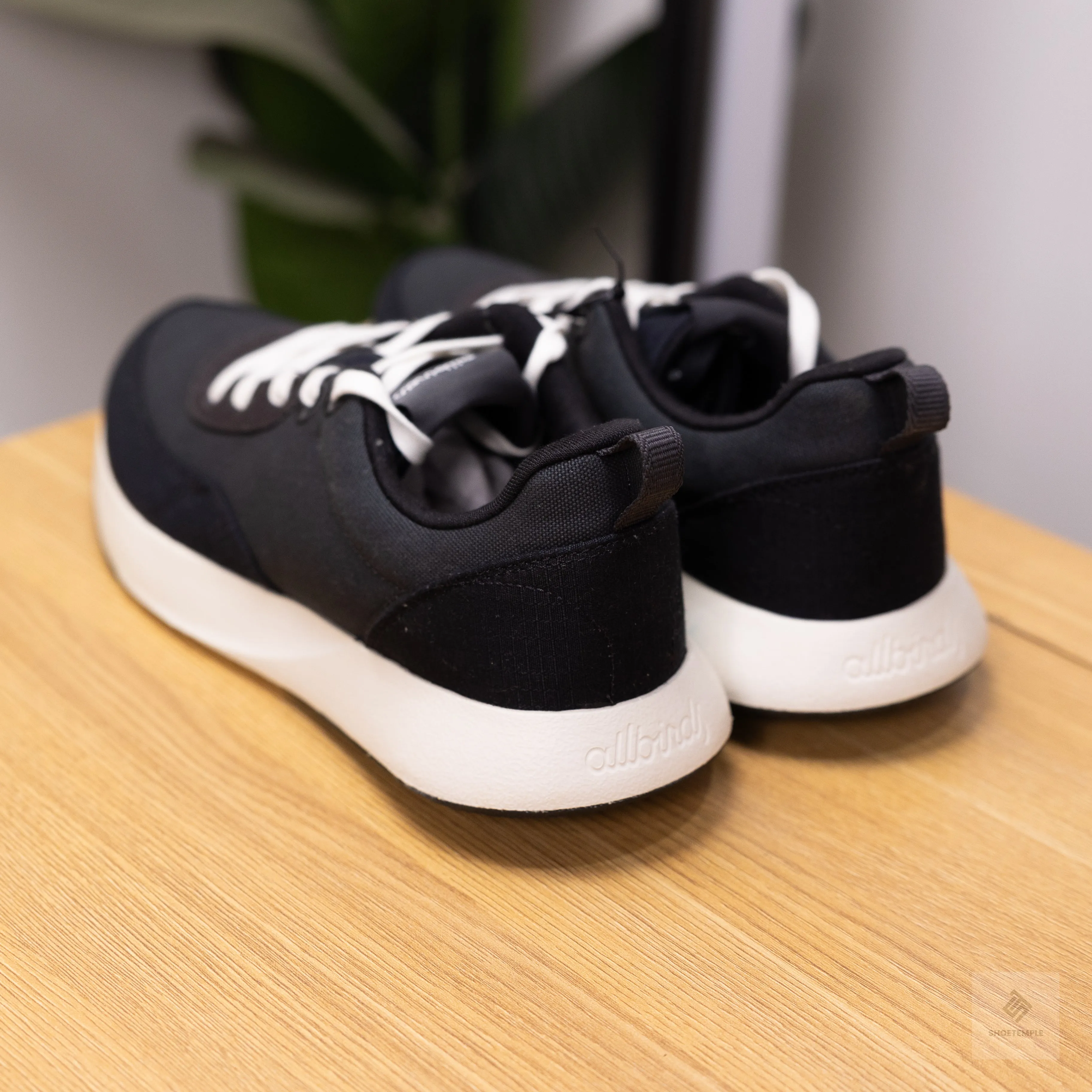Allbirds Courier Men Sneaker