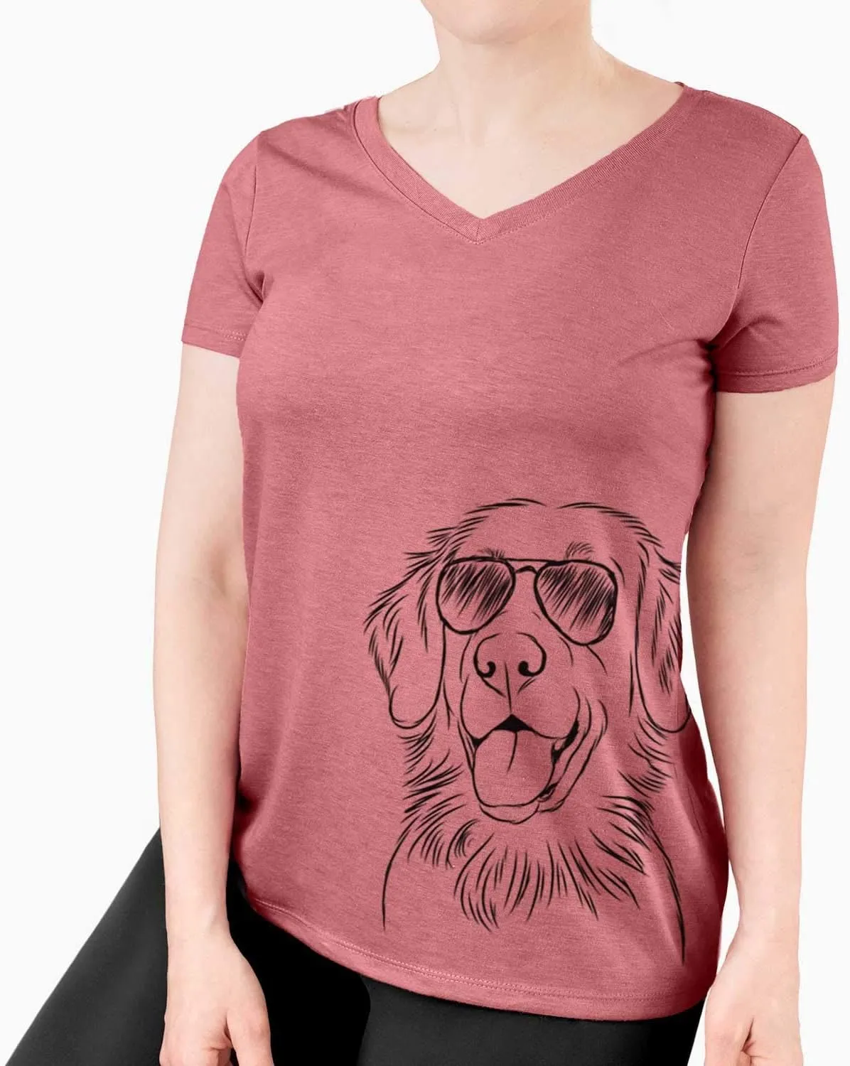 Aviator Raisin The Flat-Coated Retriever Dog Triblend T-Shirt