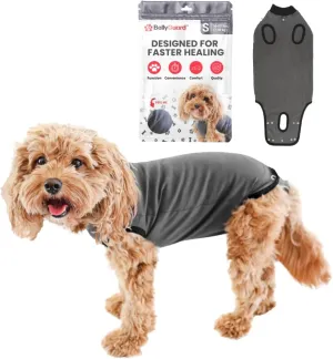BellyGuard Recovery Suit for Dogs, Comfy Dog Surgery Suit, Female Spay and Male Neuter Onesie for Post-Op Care