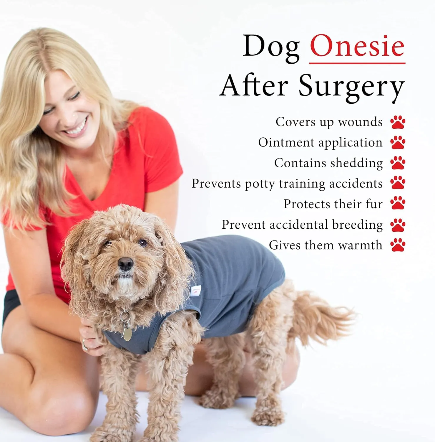 BellyGuard Recovery Suit for Dogs, Comfy Dog Surgery Suit, Female Spay and Male Neuter Onesie for Post-Op Care