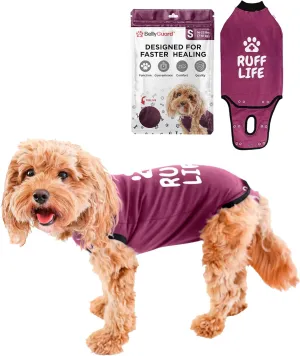BellyGuard Recovery Suit for Dogs, Comfy Dog Surgery Suit, Female Spay and Male Neuter Onesie for Post-Op Care