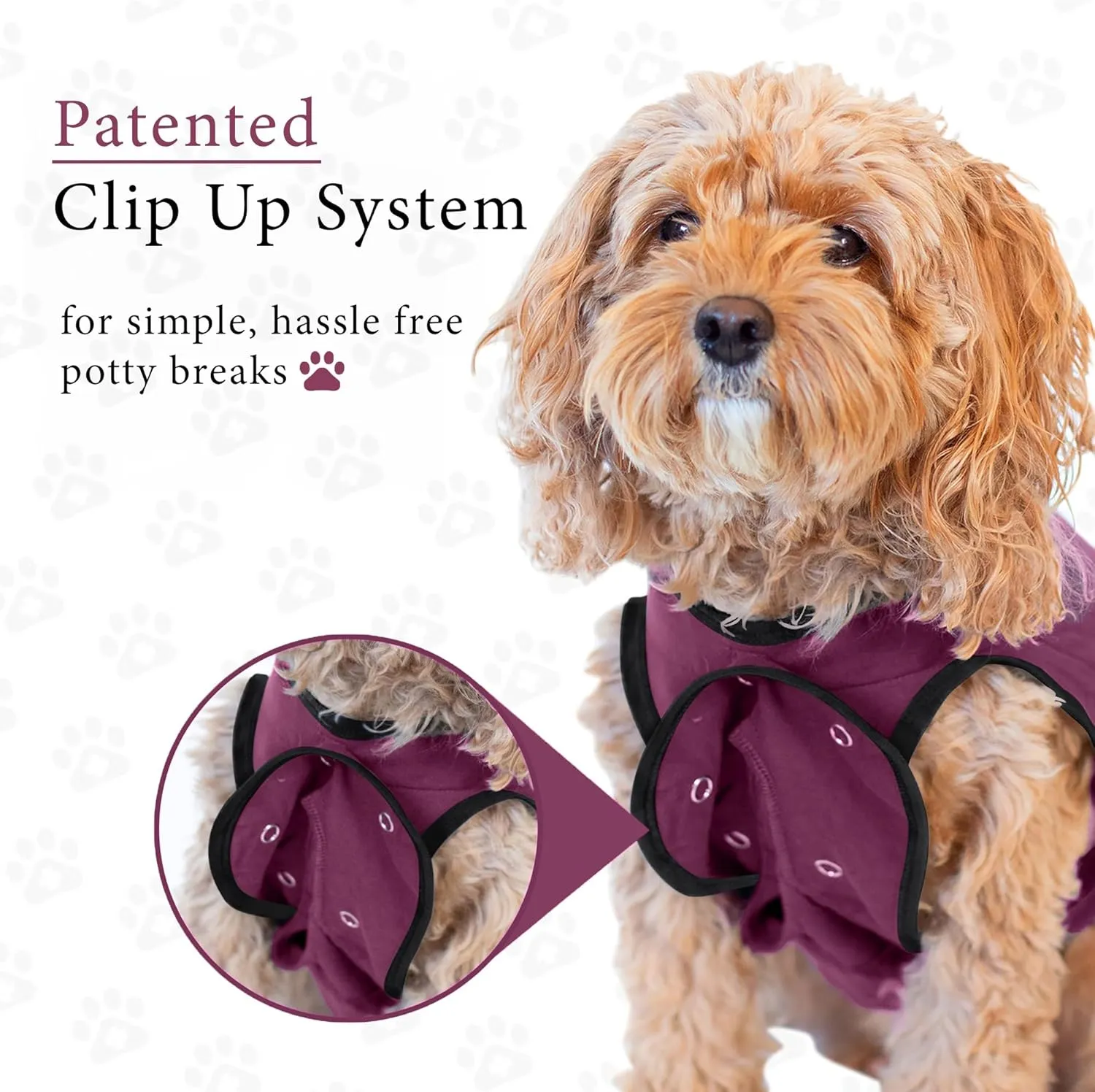 BellyGuard Recovery Suit for Dogs, Comfy Dog Surgery Suit, Female Spay and Male Neuter Onesie for Post-Op Care