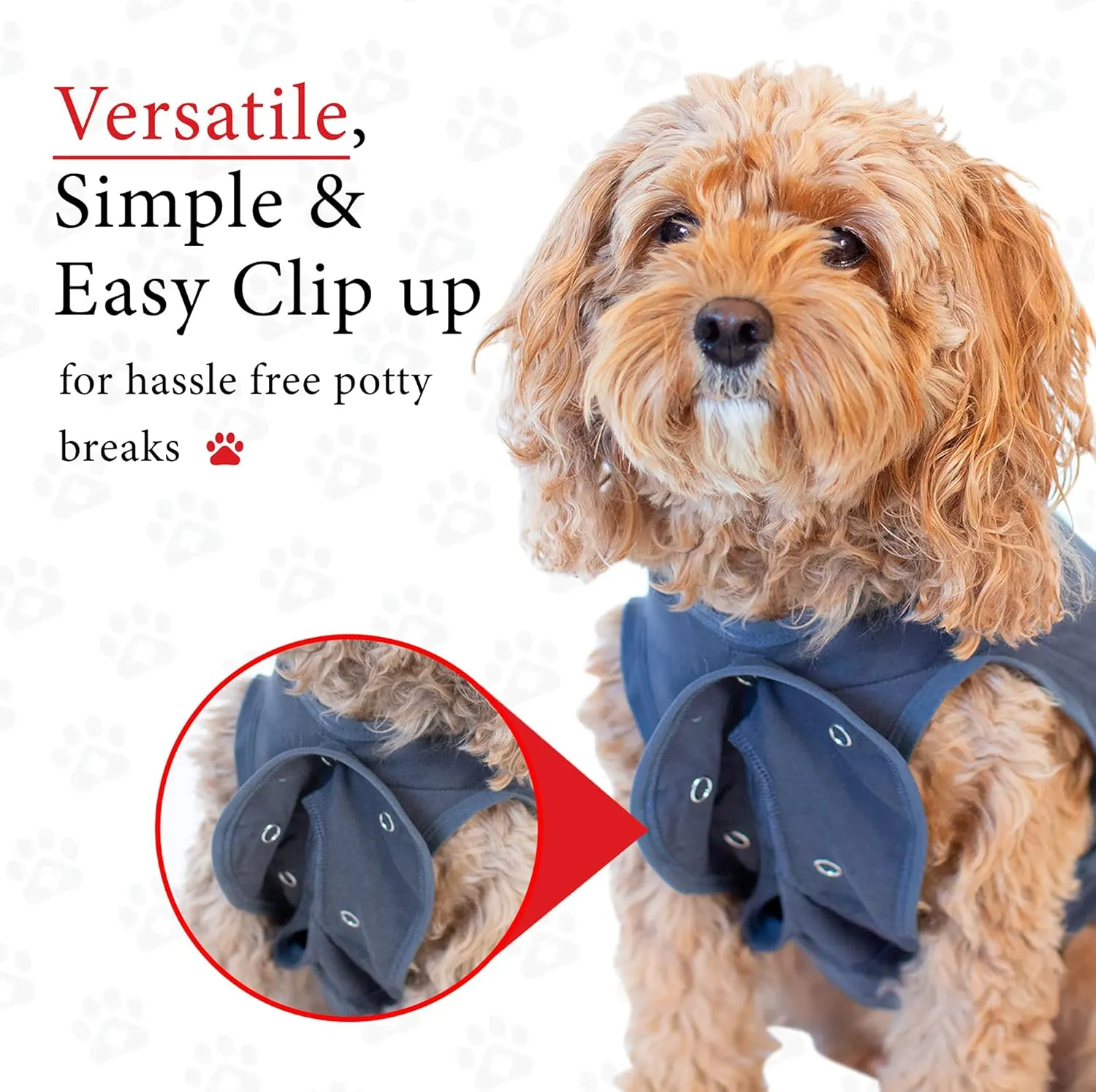BellyGuard Recovery Suit for Dogs, Comfy Dog Surgery Suit, Female Spay and Male Neuter Onesie for Post-Op Care