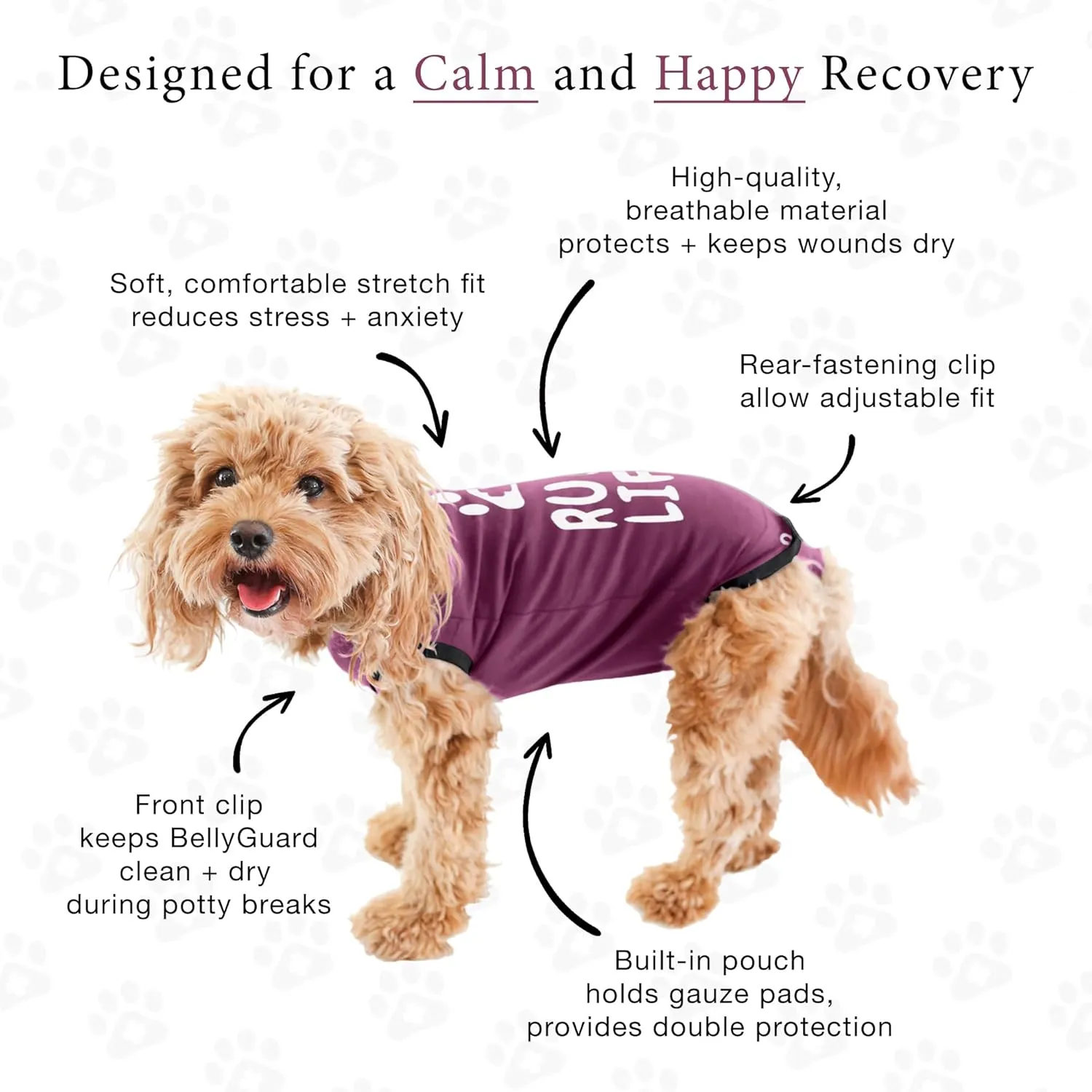 BellyGuard Recovery Suit for Dogs, Comfy Dog Surgery Suit, Female Spay and Male Neuter Onesie for Post-Op Care