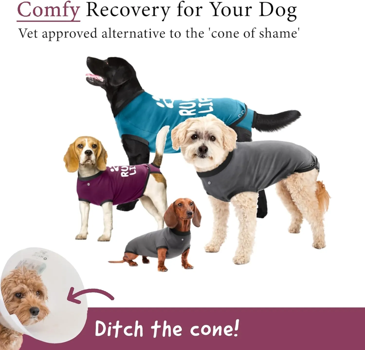 BellyGuard Recovery Suit for Dogs, Comfy Dog Surgery Suit, Female Spay and Male Neuter Onesie for Post-Op Care