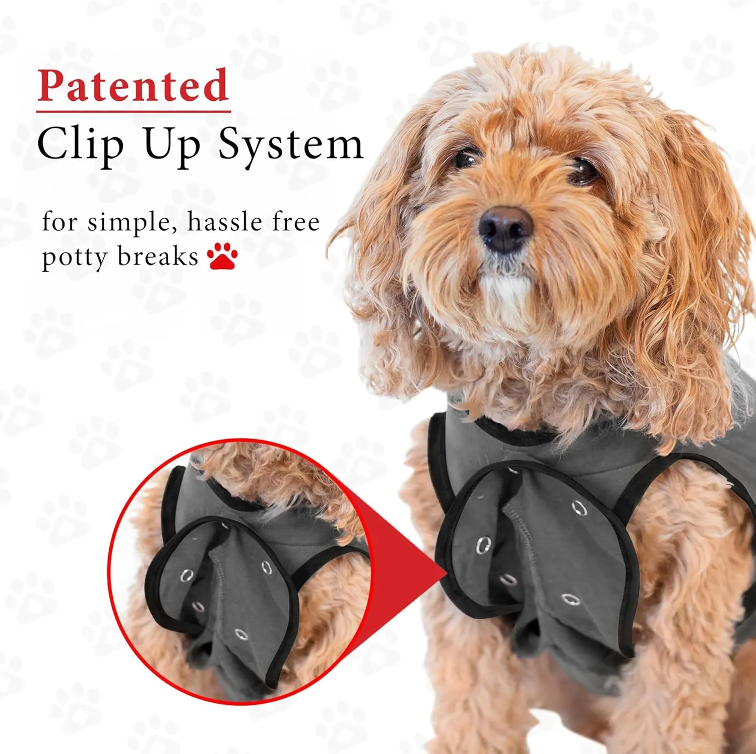 BellyGuard Recovery Suit for Dogs, Comfy Dog Surgery Suit, Female Spay and Male Neuter Onesie for Post-Op Care