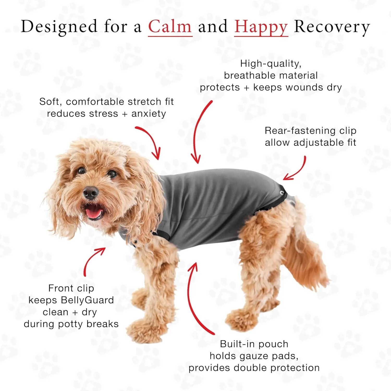 BellyGuard Recovery Suit for Dogs, Comfy Dog Surgery Suit, Female Spay and Male Neuter Onesie for Post-Op Care