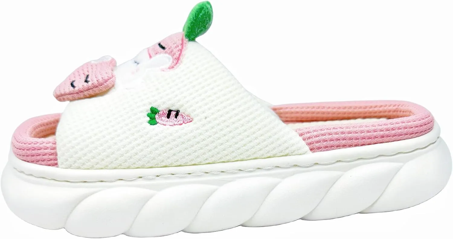 DCLTD Womens Cartoon Animal Slippers Home Linen Slippers Men's and Women's Cartoon Slides Cloud Slippers Super Soft Shoes for Boys and Girls