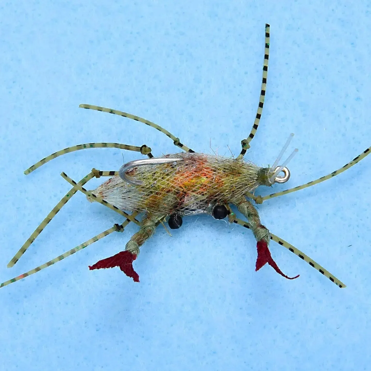Enrico Puglisi Soft Shell Fly