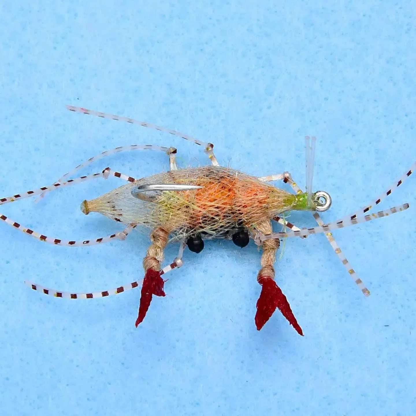 Enrico Puglisi Soft Shell Fly