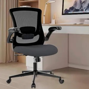 Office Chair, Adjustable Armrest with Lumbar Support,Breathable Mesh Backrest，Suitable for Office, Study, Bedroom Desk Chair(Classic, Black)