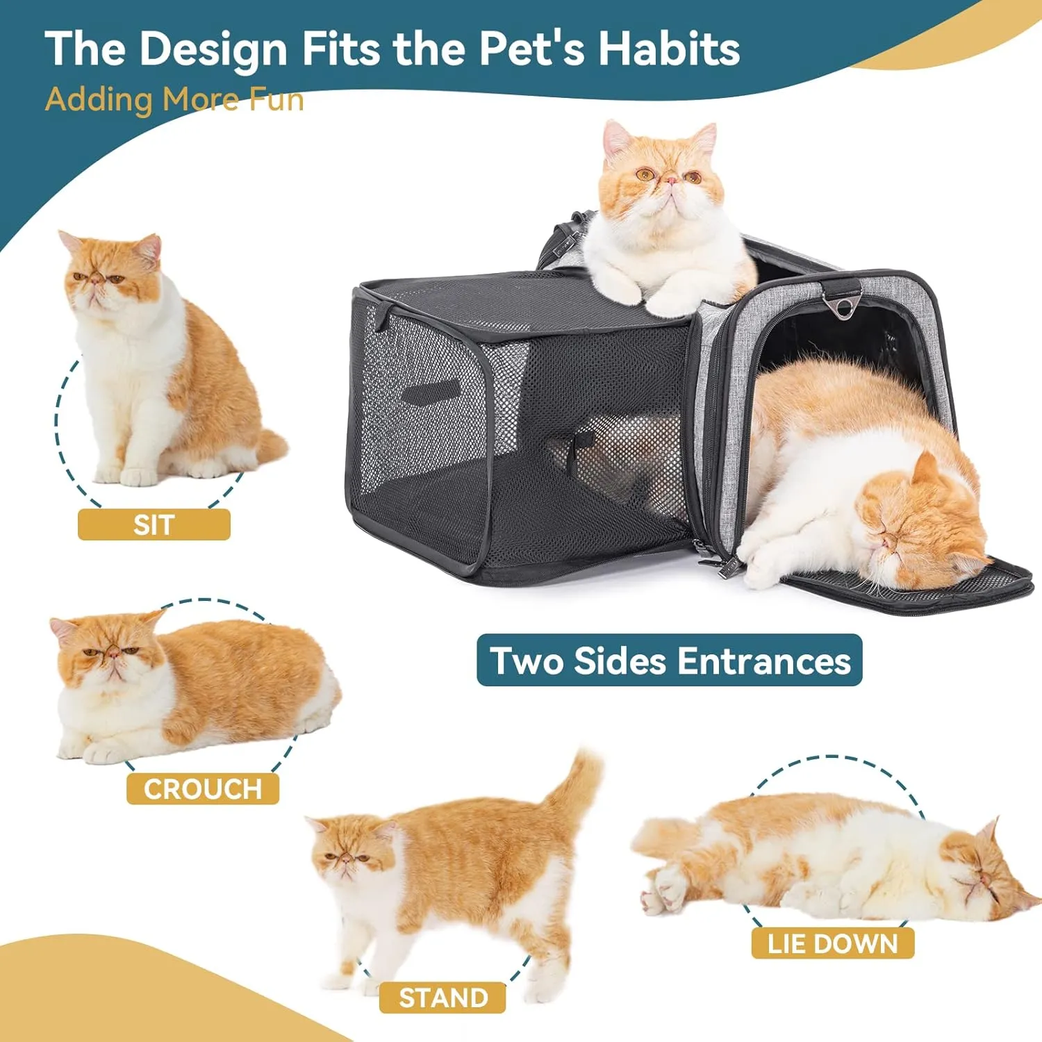 Petsfit Expandable Cat Carrier, 16"X10" X9" Pet Carrier Airline Approved, Soft-Sided Collapsible, Pet Carrier with Locking Safety Zippers, Removable Soft Plush Mat, Pocket for Pets up to 10lbs, Gray,S