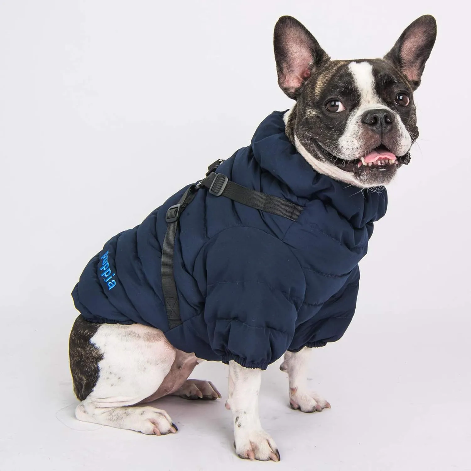 Puppia Soft Jumper - Navy - L