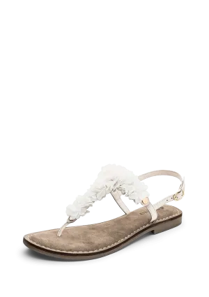 Soft Flower - Comfort Crema